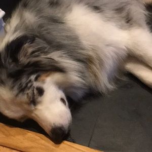 Meet your Posher, Ann